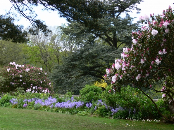 Bois des Moutiers (96) Mai 2012